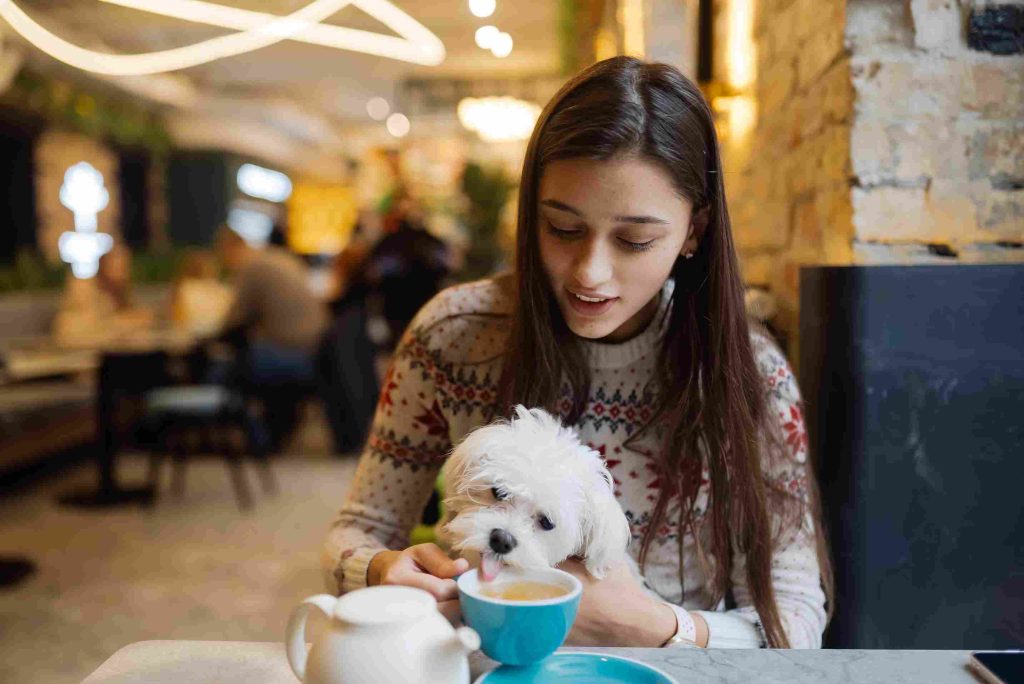 How to Choose Pet Daycare Near You in Dubai: 5 Things That Actually Matter