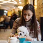 How to Choose Pet Daycare Near You in Dubai: 5 Things That Actually Matter