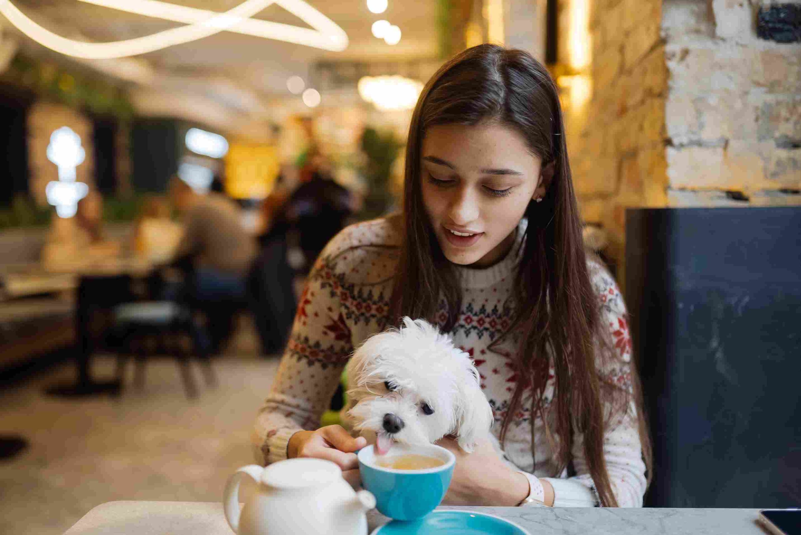 How to Choose Pet Daycare Near You in Dubai: 5 Things That Actually Matter